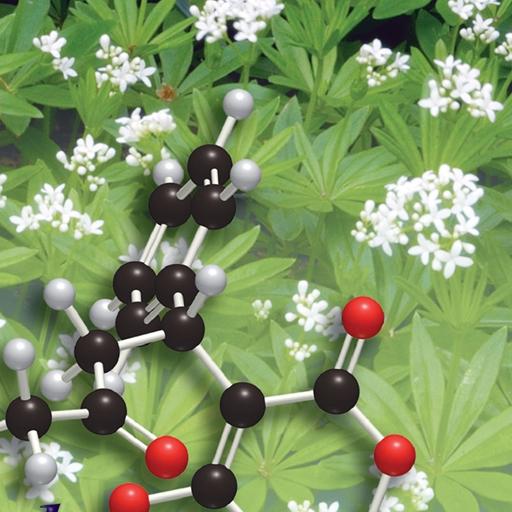 Biochemistry Handbook