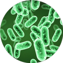 Microbiology Handbook APK