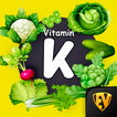 Vitamin K Rich Food Recipes