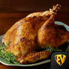 Chicken Recipes: Duck, Turkey icône