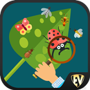 Entomology Dictionary Offline APK