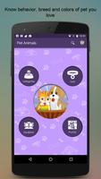 Pet Animals Poster