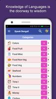 Learn Bengali Language Offline poster