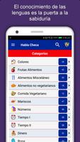 Aprender Idioma Checo Poster