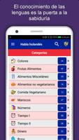 Aprender Idioma Holandés Poster
