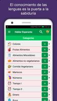 Aprender Idioma Esperanto Poster
