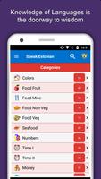 Learn Estonian Language App Cartaz