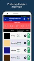 Ucz Się Języka Francuski screenshot 1