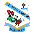 St. Teresa's Secondary School icône