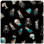 Quiz anatomia fácil 2.0