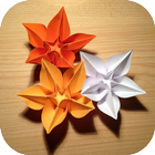 Icona Make Origami Flower & Plant