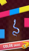 Snake vs Color Blocks Affiche