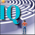 Frank Puzzle IQ