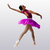 Cours de ballet pour débutants icône