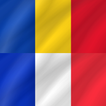 French - Romanian