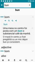 Portuguese - Romanian screenshot 1