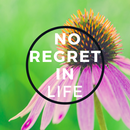 Best Regret Quotes APK