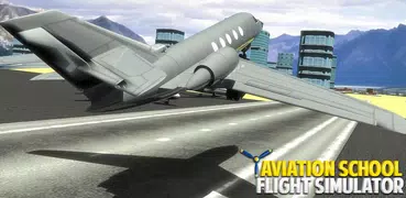 Aviation School Flight Simulator 3D: Learn To Fly