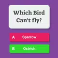 Trivia Master