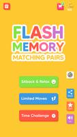 Flash Memory Plakat