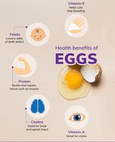 5 benefits of eggs الملصق