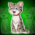 Cute Sitting Cat Escape