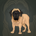 Mastiff Dog Rescue