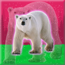 Release Polar Bear From Cage APK