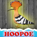 The Hoopoe Rescue From Cage APK