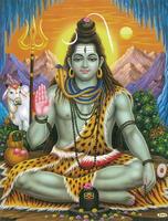 Shiva syot layar 1