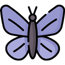 Kelebek - 着席プラン APK