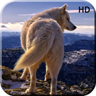 Animal Live Wallpaper Free - Animal Background App Zeichen
