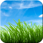 3D Grass Live Wallpapers Free: Animated Wallpapers simgesi