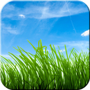 3D Grass Live Wallpapers Free: Animated Wallpapers APK