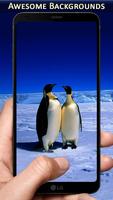 Penguin Wallpaper 3D Live Aquarium Backgrounds HD imagem de tela 2