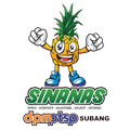 SINANAS