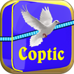 Coptic Egypt Engli fran Arabic