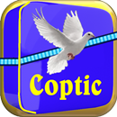 Coptic Egypt Engli fran Arabic APK