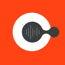 Egyptian Radio - Live FM Playe APK