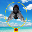 Fly & Swatter ikon