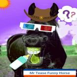 Mr Tease : Funny Horse