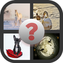 APK Guess the Word (play and learn English words)