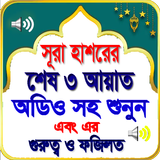 সূরা হাশরের শেষ তিন আয়াত (অফলাইন অডিও) icon