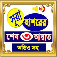 সূরা হাশরের শেষ তিন আয়াত (অফলাইন অডিও) poster