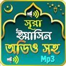 সূরা ইয়াসিন অডিও - (Sura Yasin Audio Mp3) APK