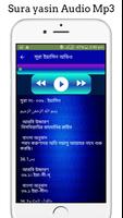 সূরা ইয়াসিন অডিও screenshot 3