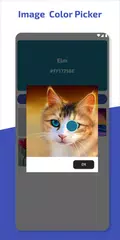 ColorSnap: Palette Maker XAPK 下載