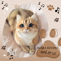 Suara Kucing Meong