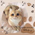 Suara Kucing أيقونة