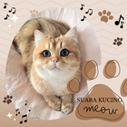 Suara Kucing icône